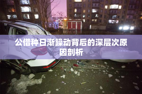 公借种日渐躁动背后的深层次原因剖析
