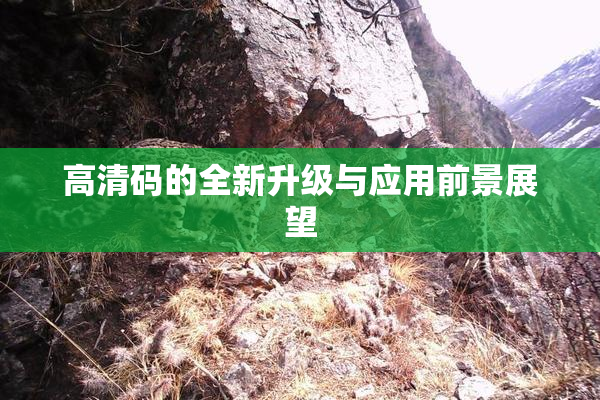 高清码的全新升级与应用前景展望
