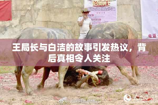 王局长与白洁的故事引发热议，背后真相令人关注
