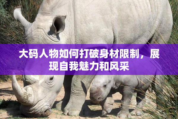 大码人物如何打破身材限制，展现自我魅力和风采