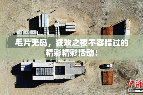 毛片无码，狂欢之夜不容错过的精彩精彩活动！