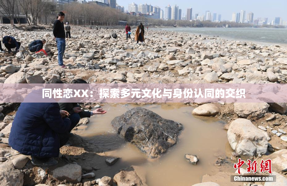 同性恋XX：探索多元文化与身份认同的交织