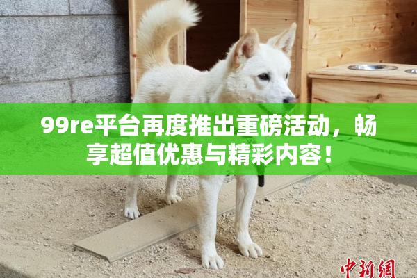 99re平台再度推出重磅活动，畅享超值优惠与精彩内容！