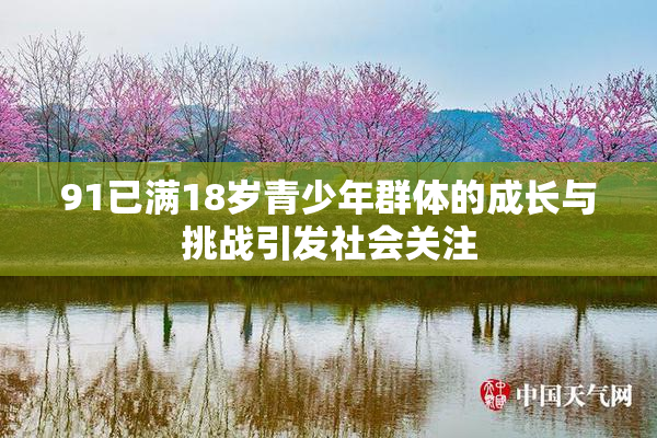 91已满18岁青少年群体的成长与挑战引发社会关注