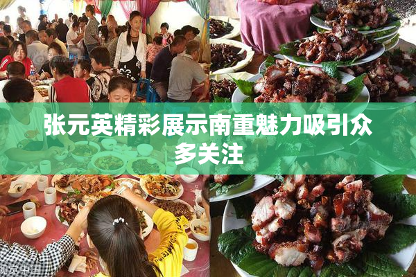 张元英精彩展示南重魅力吸引众多关注
