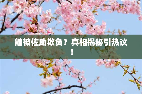 鼬被佐助欺负？真相揭秘引热议！