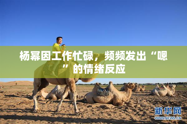 杨幂因工作忙碌，频频发出“嗯”的情绪反应