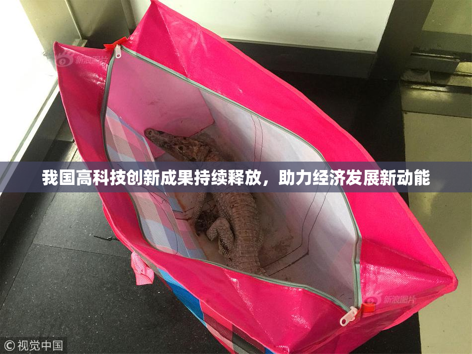 我国高科技创新成果持续释放，助力经济发展新动能