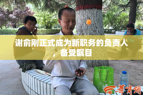 谢俞刚正式成为新职务的负责人，备受瞩目