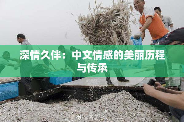 深情久伴：中文情感的美丽历程与传承