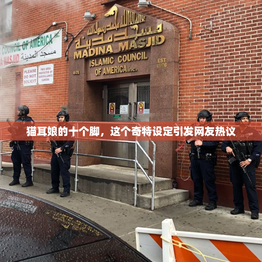 猫耳娘的十个脚，这个奇特设定引发网友热议