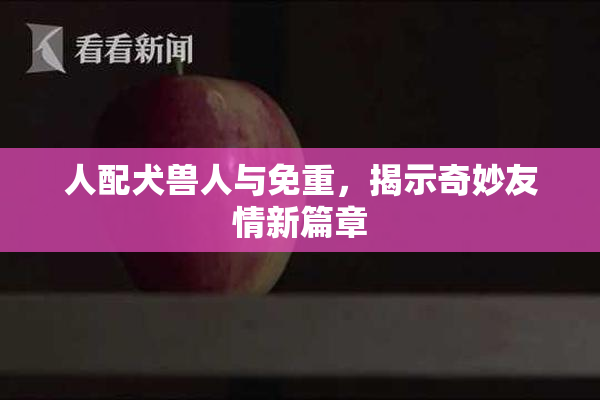 人配犬兽人与免重，揭示奇妙友情新篇章