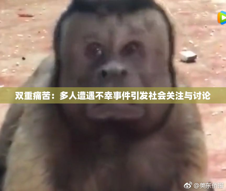 双重痛苦：多人遭遇不幸事件引发社会关注与讨论