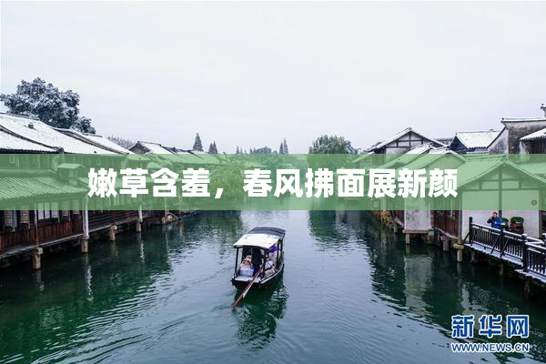 嫩草含羞，春风拂面展新颜