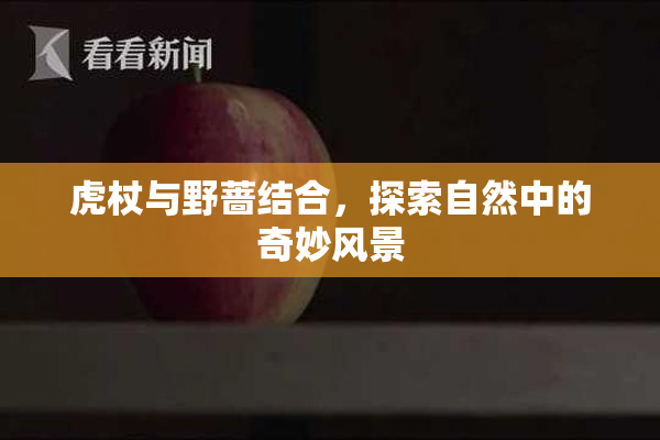 虎杖与野蔷结合，探索自然中的奇妙风景