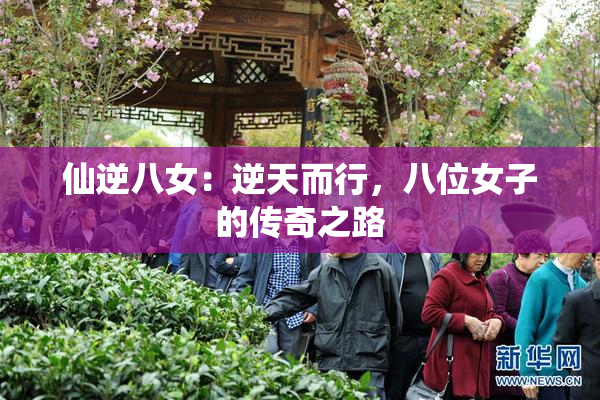 仙逆八女：逆天而行，八位女子的传奇之路