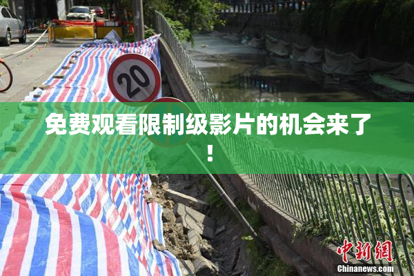 免费观看限制级影片的机会来了！