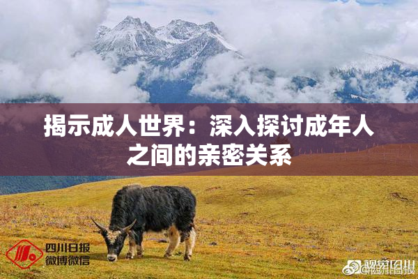 揭示成人世界：深入探讨成年人之间的亲密关系