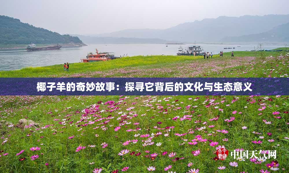 椰子羊的奇妙故事：探寻它背后的文化与生态意义