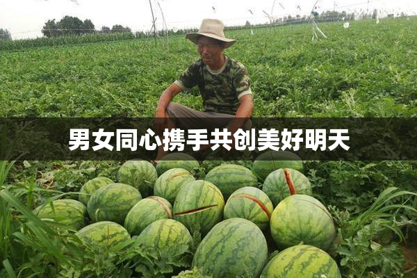 男女同心携手共创美好明天