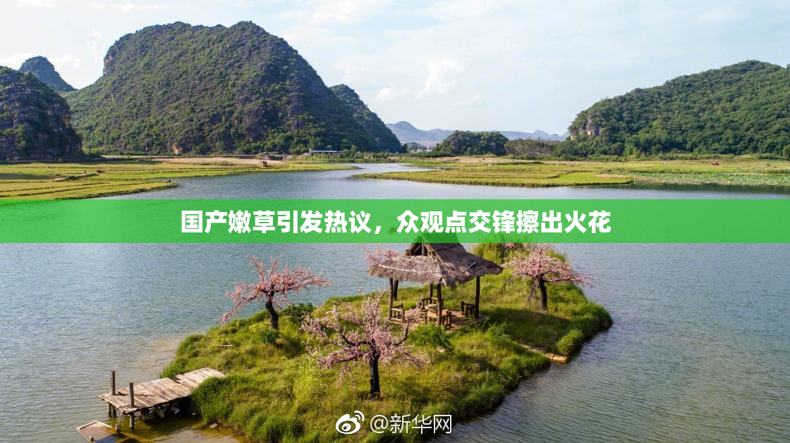 国产嫩草引发热议，众观点交锋擦出火花
