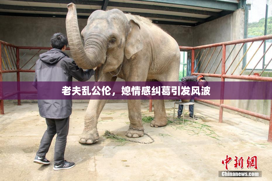 老夫乱公伦，媳情感纠葛引发风波
