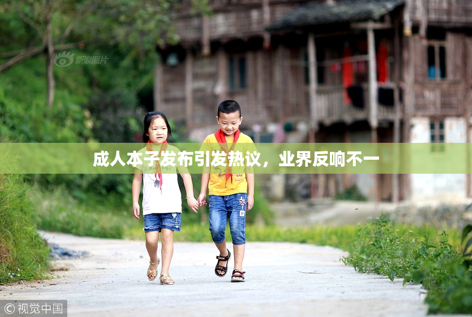成人本子发布引发热议，业界反响不一