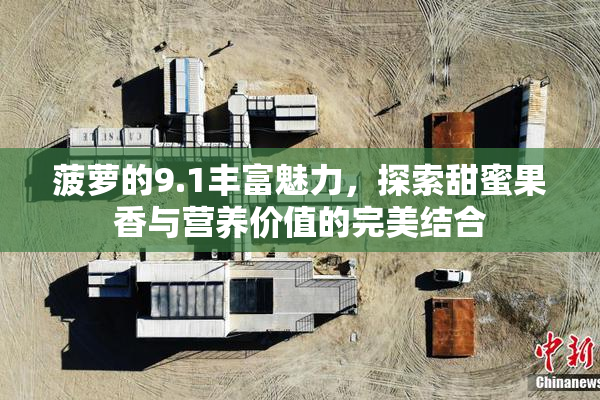 菠萝的9.1丰富魅力，探索甜蜜果香与营养价值的完美结合