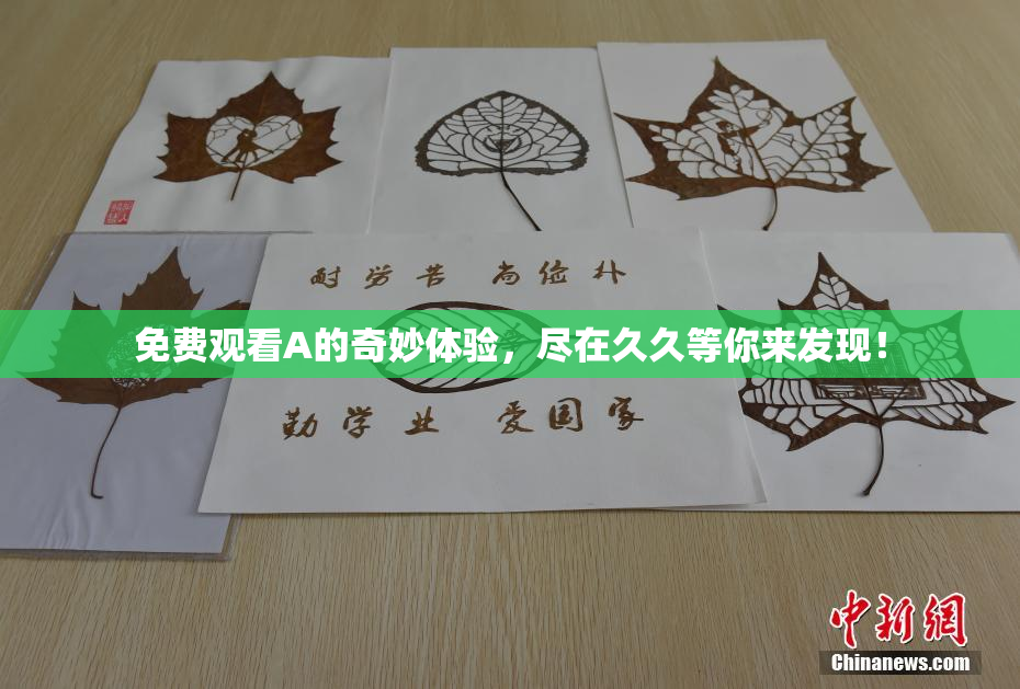 免费观看A的奇妙体验，尽在久久等你来发现！
