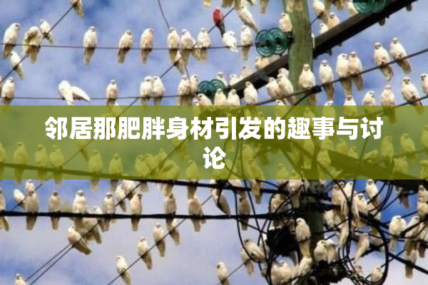 邻居那肥胖身材引发的趣事与讨论