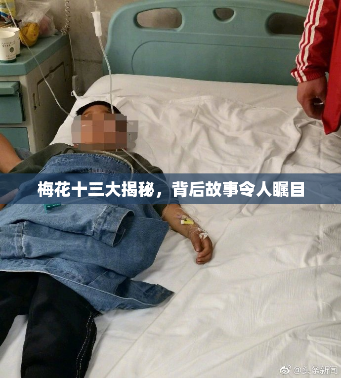 梅花十三大揭秘，背后故事令人瞩目