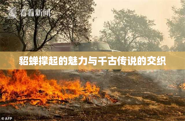 貂蝉撑起的魅力与千古传说的交织