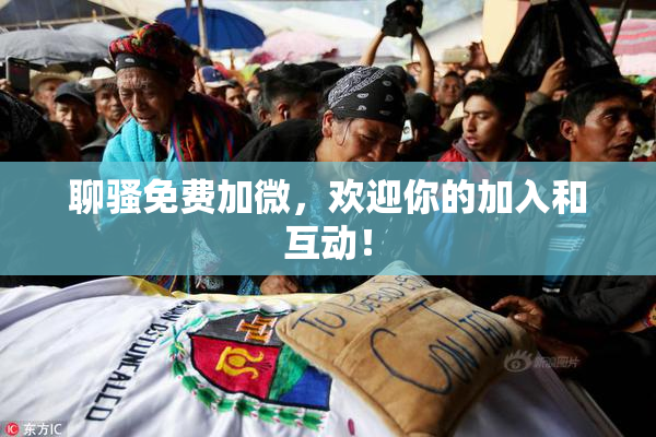 聊骚免费加微，欢迎你的加入和互动！