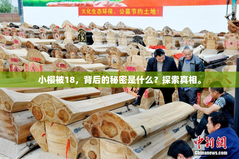 小樱被18，背后的秘密是什么？探索真相。