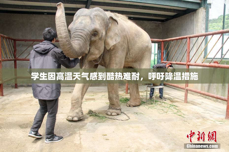 学生因高温天气感到酷热难耐，呼吁降温措施