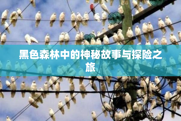 黑色森林中的神秘故事与探险之旅