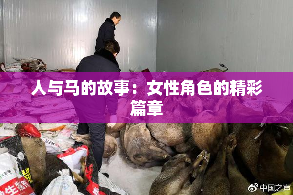 人与马的故事：女性角色的精彩篇章