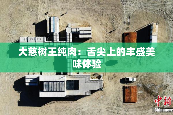 大慈树王纯肉：舌尖上的丰盛美味体验