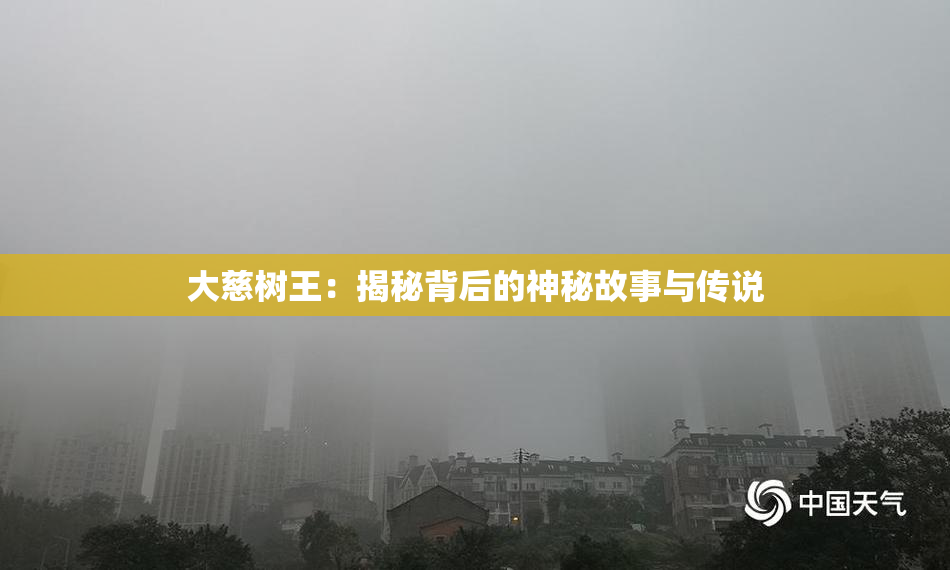 大慈树王：揭秘背后的神秘故事与传说