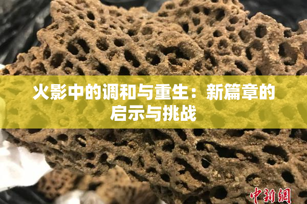 火影中的调和与重生：新篇章的启示与挑战