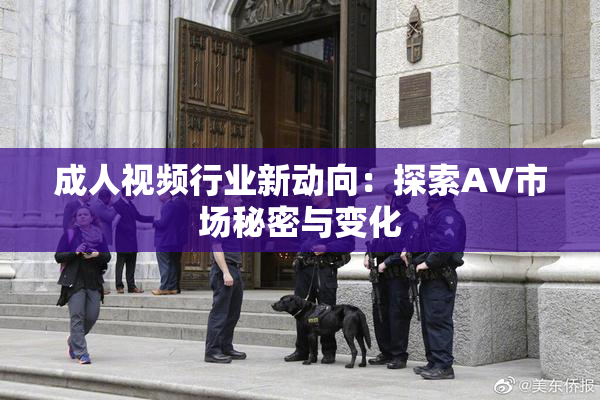 成人视频行业新动向：探索AV市场秘密与变化