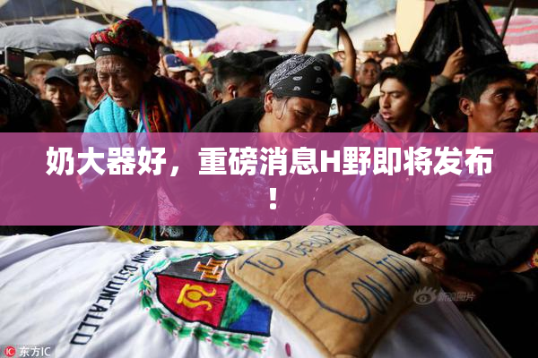 奶大器好，重磅消息H野即将发布！