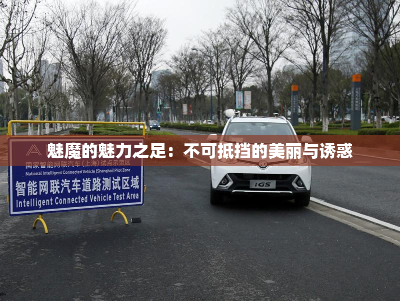 魅魔的魅力之足：不可抵挡的美丽与诱惑