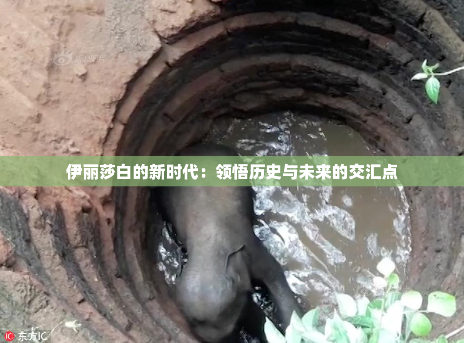 伊丽莎白的新时代：领悟历史与未来的交汇点