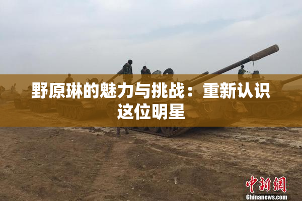 野原琳的魅力与挑战：重新认识这位明星