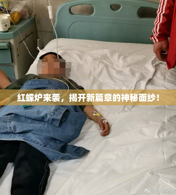 红蝶炉来袭，揭开新篇章的神秘面纱！