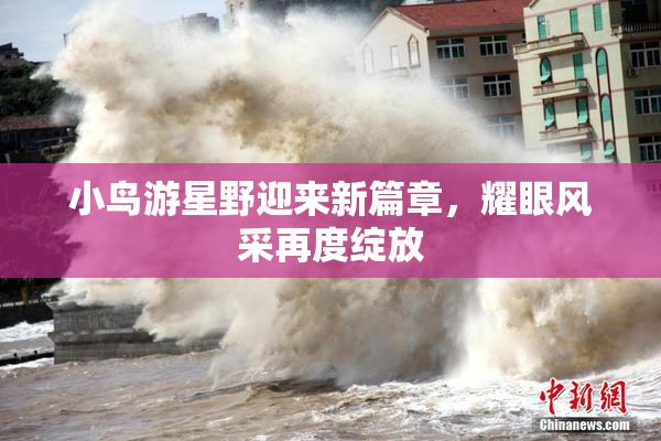 小鸟游星野迎来新篇章，耀眼风采再度绽放