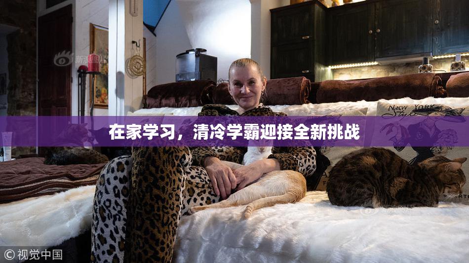 在家学习，清冷学霸迎接全新挑战