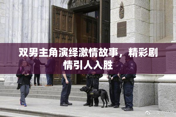 双男主角演绎激情故事，精彩剧情引人入胜