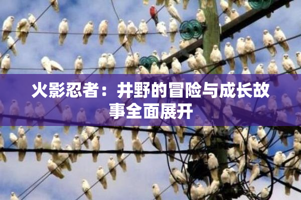 火影忍者：井野的冒险与成长故事全面展开